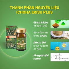 Ichoha Ekisu Plus 90 Viên - Bổ Não, Tăng Cường Tuần Hoàn Não, Cải Thiện Trí Nhớ - Sản Phẩm Chiết Xuất Bạch Quả Từ Thụy Sĩ