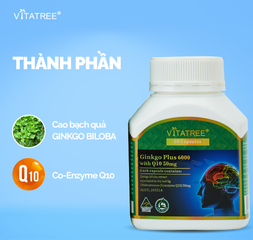 Viên Uống Bổ Não Vitatree Ginkgo Plus 6000mg với Coenzyme Q10 50mg - Tăng Cường Trí Nhớ, Cải Thiện Chức Năng Nhận Thức