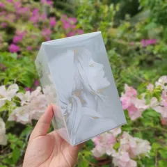 Nước hoa nữ Ariana Grande Mod Vanilla Eau De Parfum EDP 100ml - DiiHangMyUc.
