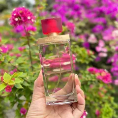 Nước Hoa Nữ Elizabeth Arden Beauty Eau de Parfum EDP 100ml - Hương Cam Bergamot, Hoa Gạo, Chính Hãng, Quà Tặng Đặc Biệt