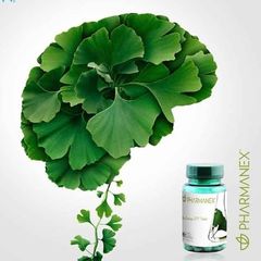 Thực Phẩm Bảo Vệ Sức Khỏe Nuskin BioGinkgo 27/7 - Tăng Cường Trí Nhớ - Hộp 60 Viên Chiết Xuất Bạch Quả