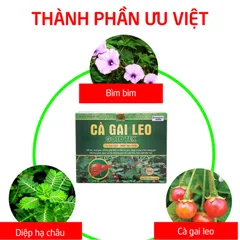 Viên Uống Bổ Gan Cà Gai Leo Gold Tex - Giải Độc, Hạ Men Gan, Tăng Cường Chức Năng Gan - Hộp 50 Viên Bảo Vệ Gan Tốt Nhất