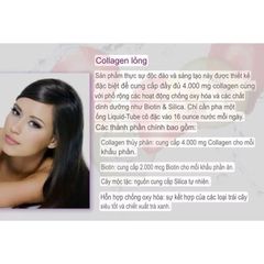Nước Uống Collagen Liquid Applied Nutrition 4000 mcg - Bổ Sung Đẹp Da, Giúp Trẻ Hóa và Tăng Độ Đàn Hồi, 30 Ống Mỹ