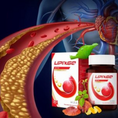 Viên Uống Lipixgo Giảm Mỡ Máu Hỗ Trợ Tim Mạch, Tăng Cường Tuần Hoàn - Hộp 30 Viên Bảo Vệ Tim Mạch Chất Lượng cao