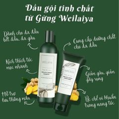 Bộ dầu gội xả gừng Weilaiya 400ml - Giảm rụng, kích mọc tóc cho tóc dầu và khô - Sản phẩm chăm sóc tóc tự nhiên an toàn cho mẹ bầu