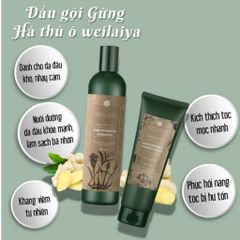 Dầu Gội Gừng Weilaiya - Bộ Gội Xả Kích Mọc Tóc Cho Tóc Dầu & Khô, Giảm Gãy Rụng, Hương Gừng & Vanilla Tự Nhiên