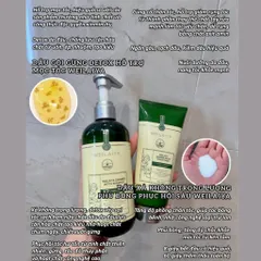 Bộ dầu gội xả gừng detox hỗ trợ mọc tóc Weilaiya Luxury
