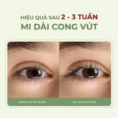 Serum Dưỡng Mi ABERA 5ml - Làm Dài Dày Mi, Cải Thiện Tình Trạng Mi Thưa, Chăm Sóc Mi Tự Nhiên, Chiết Xuất Hồng Sâm, Vitamin E