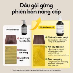 Dầu Gội Gừng Lab On Hair 300ml - Giải Pháp Chống Rụng Tóc Với Nhân Sâm & Redensyl, Tăng Cường Tóc Khỏe Mạnh