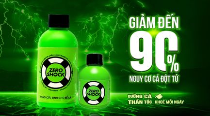 extrabio ZERO SHOCK 250ml - Giảm stress và hồi phục nhanh cho cá, ổn định chất lượng nước, giải độc ammonia và chloramine, an toàn cho hệ vi sinh