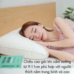 Ruột Gối Nằm Bông Bông Microfiber 45*65 Gối Ngủ Êm Ái, Chống Xẹp, Thoáng Khí, Chuẩn Khách Sạn