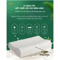 Gối Cao Su Cỡ Nhỏ 30x50x7 cm Thiết Kế Nâng Đỡ Cổ Vai Gáy, Ngủ Sâu Hơn Kèm Vỏ Tencel 100s