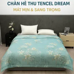 Chăn Hè Thu Lạnh Tencel Dream Lasante 2mx2m3 Trần Bông Thoáng Mát Dùng 4 Mùa