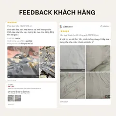 Chăn Hè Thu Lạnh Tencel Dream Lasante 2mx2m3 Trần Bông Thoáng Mát Dùng 4 Mùa