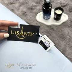 Ruột gối ôm Lasante pháp 70x100 cm chất liệu bông lông vũ vỏ Tencel