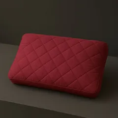 Vỏ Gối sợi khí 35*50