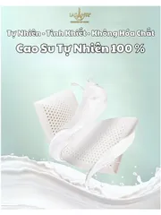 Gối Cao Su Thấp 4 Cm Siêu Mỏng Form Phẳng Truyền Thống Lasante Cho Người Nằm Gối Thấp
