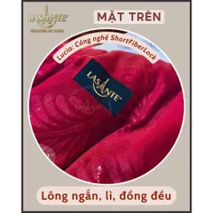 Chăn Lông Cừu Nhỏ 1m6 X 2m2 Cho Mùa Đông Đại Hàn 1 Người  Lasante, Bảo Hành Chính Hãng Kèm Túi