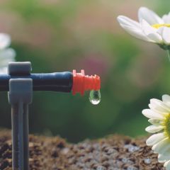 Bộ 25 Đầu Tưới Nhỏ Giọt Gardena 2 Lít/h - Giải Pháp Tưới Tiết Kiệm Nước Cho Vườn Cây, Chậu Hoa, Dễ Lắp Đặt, Hiệu Suất Cao