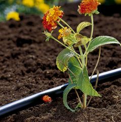 Bộ 25 Đầu Tưới Nhỏ Giọt Gardena 2 Lít/h - Giải Pháp Tưới Tiết Kiệm Nước Cho Vườn Cây, Chậu Hoa, Dễ Lắp Đặt, Hiệu Suất Cao