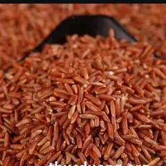 Gạo Lứt Đỏ 1kg Thực Dưỡng Bà Loan - Gạo Giàu Chất Xơ, Vitamin B, Hỗ Trợ Cải Thiện Tiêu Hóa và Đường Huyết