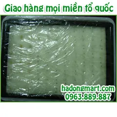 Mút xốp ươm hạt 10 tấm 960 lỗ (25x25x25mm) HaDongMart