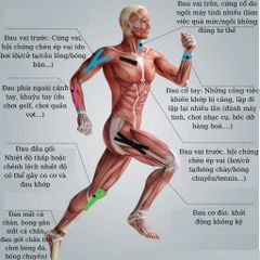 Băng keo dán cơ thể thao Kinesiology LI-NING  bảo vệ cơ, chống căng cơ, phục hồi chấn thương LQAK100