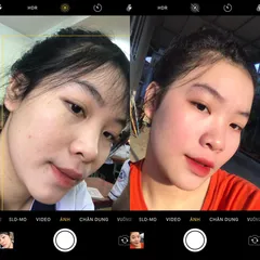 Bột sâm đông y Hạnh Sino 100% thiên nhiên tái tạo da - Giúp da khỏe đẹp từ gốc, giảm mụn thâm nám, phục hồi tự nhiên - Dung tích 100ml