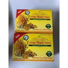 Trà Hoa Cúc Đông Trùng Hạ Thảo - Hỗ Trợ Tăng Cường Sức Đề Kháng, Bồi Bổ Cơ Thể - Hộp 14 Gói Thảo Mộc Tự Nhiên