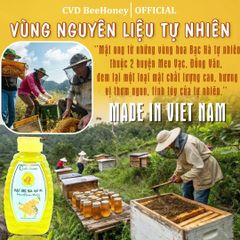 Mật Ong Nguyên Chất CvdBeehoney 100% Từ Hoa Bạc Hà - Tăng Sức Đề Kháng, Giảm Ho, Hỗ Trợ Làm Đẹp Tự Nhiên