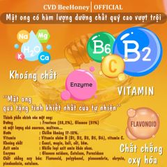 Mật Ong Nguyên Chất CvdBeehoney 100% - Tăng Cường Sức Đề Kháng, Làm Đẹp Da, Giảm Ho, Ngọt Tinh Khiết Từ Hoa Rừng