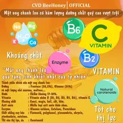 Mật Ong Nguyên Chất Chanh Leo CvdBeehoney 500g - Tăng Đề Kháng, Giúp Đẹp Da, Từ Tự Nhiên, Hàng Việt Nam Chất Lượng Cao