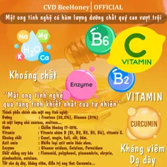 Mật Ong Tinh Nghệ Nguyên Chất CVDBEEHONEY 500g - Tăng Đề Kháng, Phục Hồi Sức Khỏe, Chăm Sóc Da Tự Nhiên, Mật Ong Từ Rừng