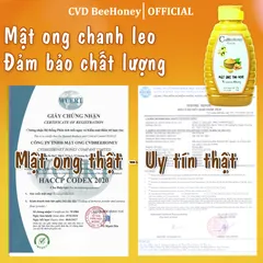 Mật Ong Tinh Nghệ Nguyên Chất CVDBEEHONEY 500g - Tăng Đề Kháng, Phục Hồi Sức Khỏe, Chăm Sóc Da Tự Nhiên, Mật Ong Từ Rừng
