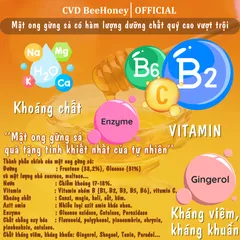 Mật Ong Gừng Sả Nguyên Chất CvdBeehoney 100% Tự Nhiên, Tăng Sức Đề Kháng, Hỗ Trợ Làm Đẹp, 500g