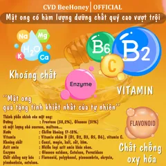 Mật Ong Hoa Vải Nguyên Chất CVD Beehoney 500g - Tăng Đề Kháng, Phục Hồi Sức Khỏe, Làm Đẹp Da, Chống Lão Hóa