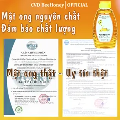 Mật Ong Hoa Vải Nguyên Chất CVD Beehoney 500g - Tăng Đề Kháng, Phục Hồi Sức Khỏe, Làm Đẹp Da, Chống Lão Hóa