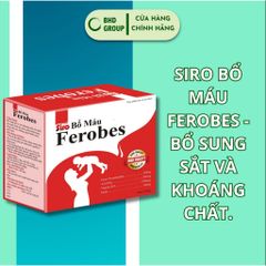 Siro Bổ Máu Ferobes - Nhật Việt Pharma - Bổ Sung Sắt và Khoáng Chất Hỗ Trợ Tạo Máu cho Phụ Nữ Mang Thai và Thiếu Máu