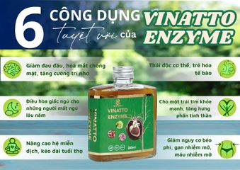Nước Uống Enzyme Vinatto Hỗ Trợ Tim Mạch - Cải Thiện Tuần Hoàn Máu, Ngăn Ngừa Đột Quỵ, Giảm Cholesterol 500 FU/ml