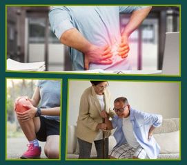 Viên Uống Hỗ Trợ Xương Khớp Genacol - Tăng Tiết Dịch, Tái Tạo Sụn, Giảm Đau Khớp Hiệu Quả Từ Canada
