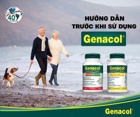 Viên Uống Hỗ Trợ Xương Khớp Genacol - Tăng Tiết Dịch, Tái Tạo Sụn, Giảm Đau Khớp Hiệu Quả Từ Canada