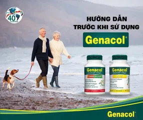 Viên uống Genacol Original - Hỗ Trợ Tăng Tiết Dịch Khớp, Tái Tạo Và Bảo Vệ Sụn Khớp, Giảm Đau Xương Khớp, Duy Trì Sức Khỏe Khớp