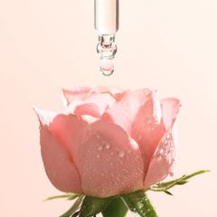 Tinh Chất Hoa Hồng Cocoon 30ml - Serum Dưỡng Da Cấp Ẩm Sâu, Làm Mềm Da, Phục Hồi Tổn Thương, 100% Thuần Chay, Không Chất Độc Tài Chính