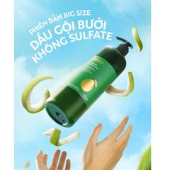 Dầu gội bưởi Cocoon 500ml - Giảm gãy rụng, hỗ trợ mọc tóc, sạch sâu & mượt mà - Chăm sóc tóc khỏe mạnh từ thiên nhiên