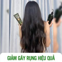 Dầu Gội Thảo Dược Thanh Mộc Hương 350g - Bộ 2 Chai Hỗ Trợ Mọc Tóc, Ngăn Rụng Tóc Từ Thiên Nhiên, Dưỡng Tóc Khỏe Mạnh