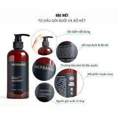 Bộ đôi Dầu gội và Dầu xả Vỏ bưởi Bồ kết Herbario - Giảm rụng tóc, nuôi dưỡng tóc mềm mại, 300ml + 270ml, tặng dây buộc tóc