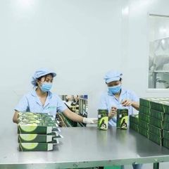 Dầu Gội Thảo Dược Thanh Mộc Hương 350ml - Giải Pháp Tóc Rụng, Từ Thiên Nhiên Dành Cho Mọi Lứa Tuổi