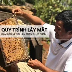 Mật Ong Hoa Cà Phê CAO FOOD 100% Nguyên Chất Từ Tây Nguyên - Hương Vị Tự Nhiên, Ngọt Thanh, Thích Hợp Pha Nước Uống và Chế Biến Thức Ăn