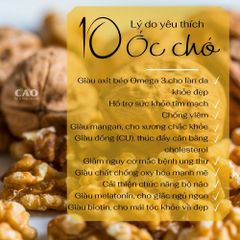 Nhân óc chó vàng CAOFOOD 450gr - Hạt dinh dưỡng cao cấp nhập khẩu từ Mỹ, tốt cho sức khỏe tim mạch và giảm cân