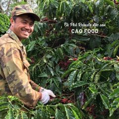 Cà phê Robusta Đaklak CAOFOOD 500g - Đặc sản chế biến ướt Tây Nguyên, hạt cà phê 100% chín, hương vị đậm đà, ngọt hậu tự nhiên
